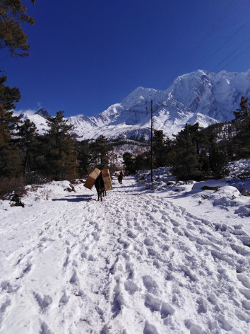 Annapurna Expedition (8091m)